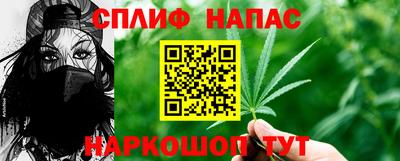 гашик Бузулук