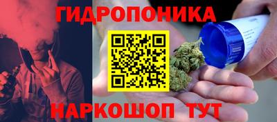 гашик Бузулук