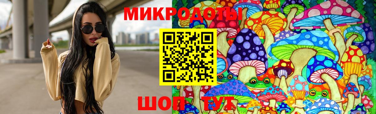 Галлюциногенные грибы Magic Shrooms Петропавловск-Камчатский