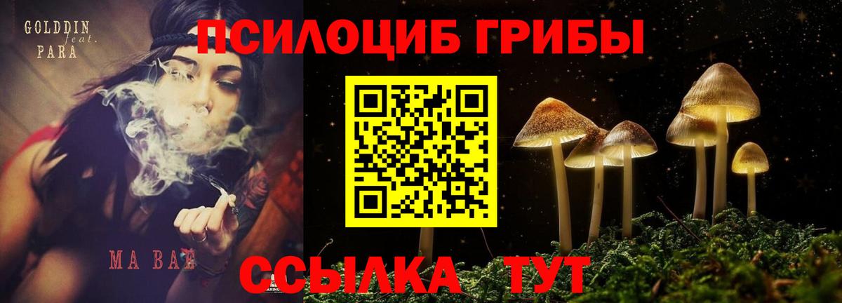Псилоцибиновые грибы прущие грибы  Галлюциногенные грибы Magic Shrooms  Петропавловск-Камчатский  Вход с VPN 